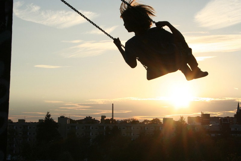 Colorful autumn forest