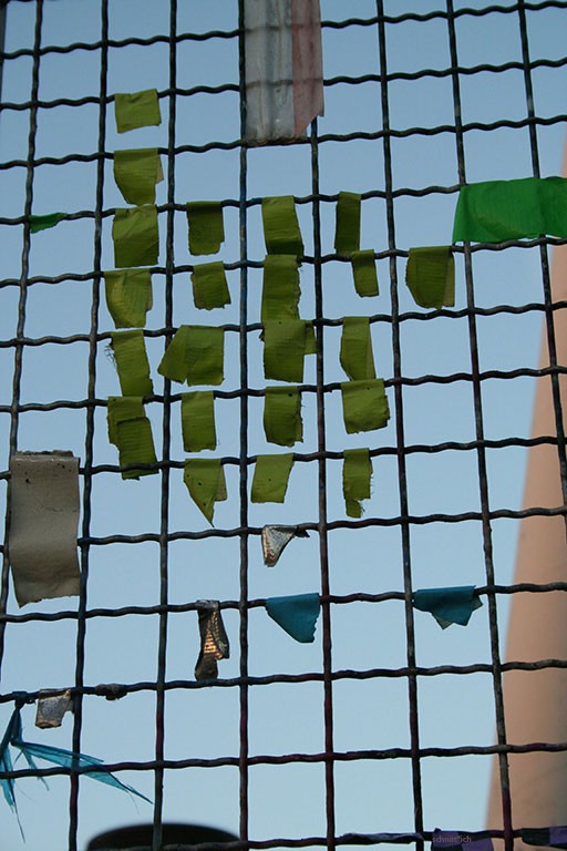 Green landscape with a few sheep