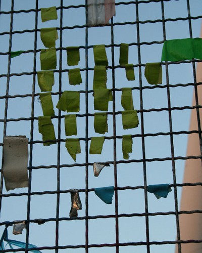 Green landscape with a few sheep